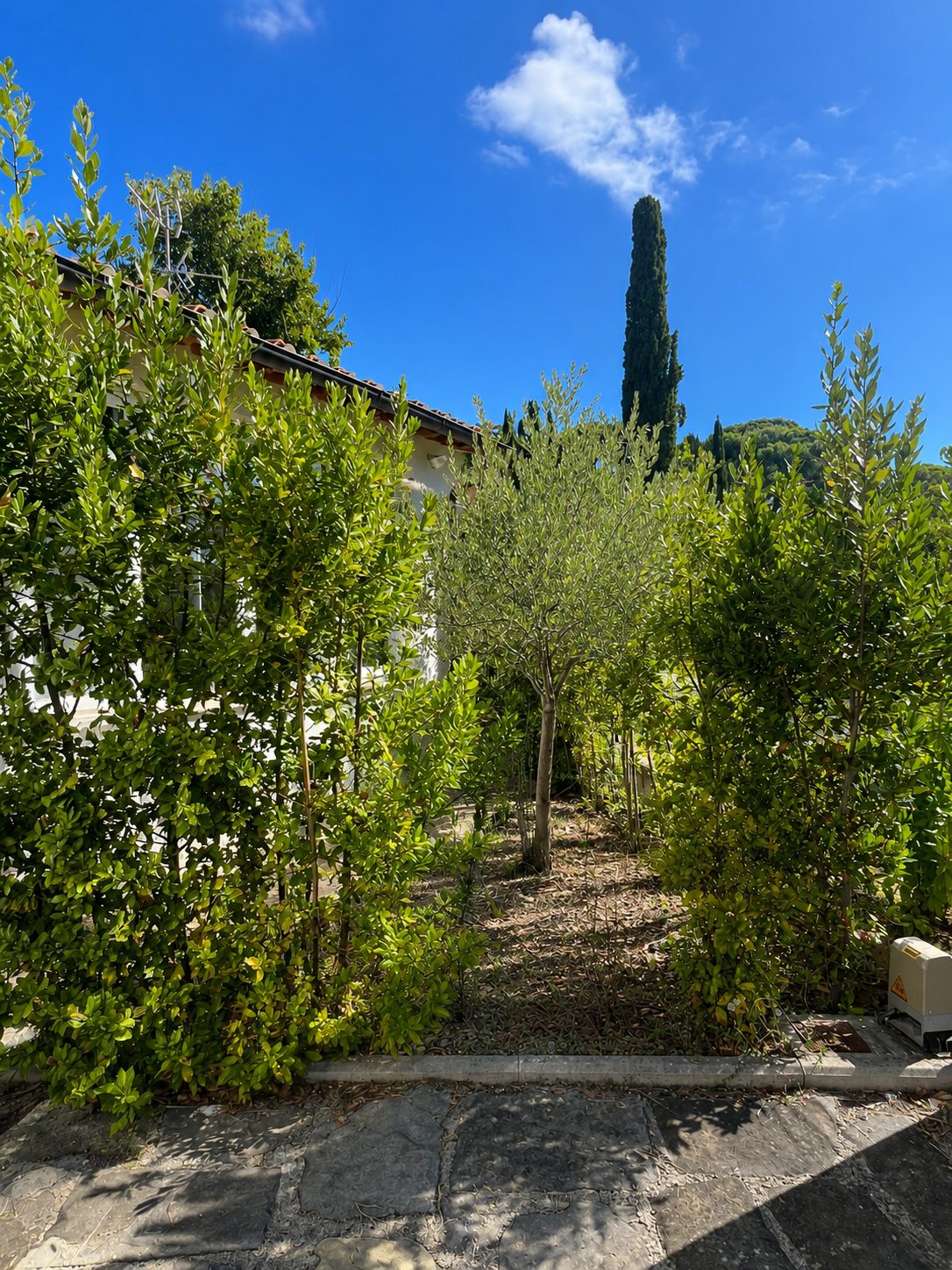 All'Antica Limonaia Chalet, 